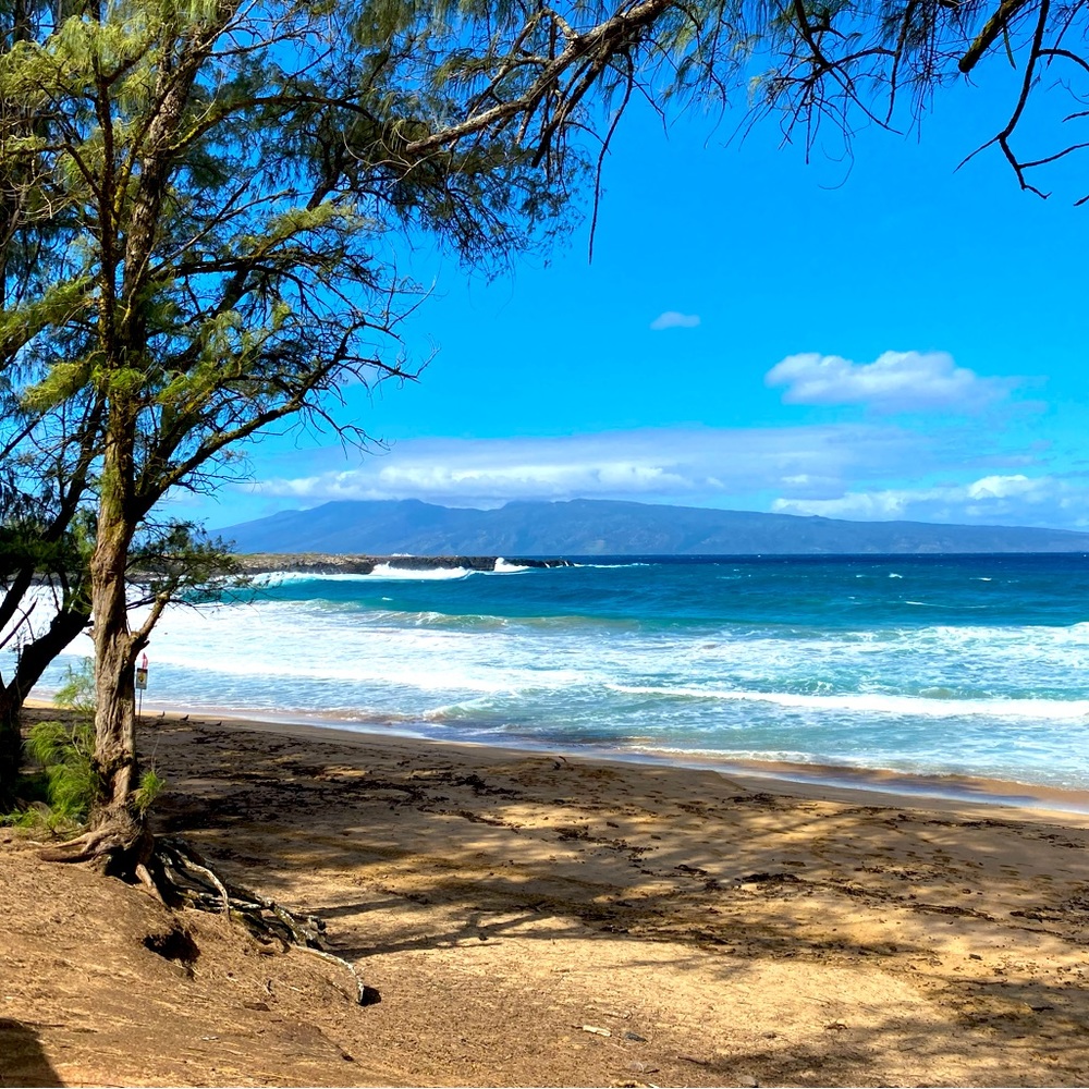 Meet your Posher, Sam